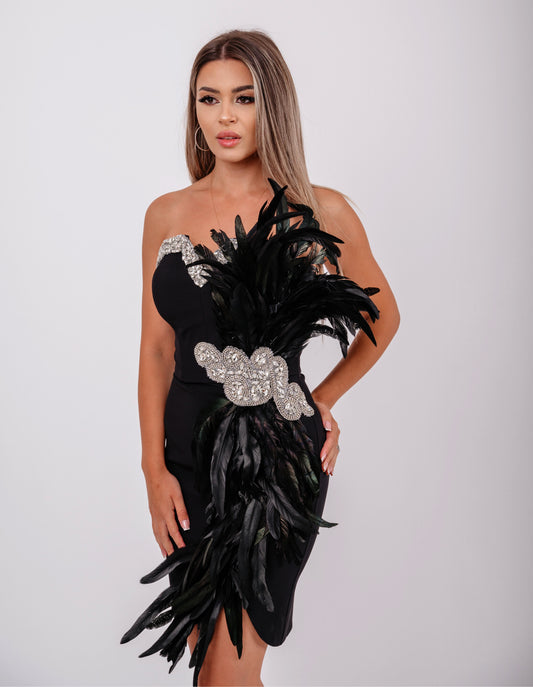 Rochie de Seară "Glamour Feather" cu Aplicații din Cristale și Pene